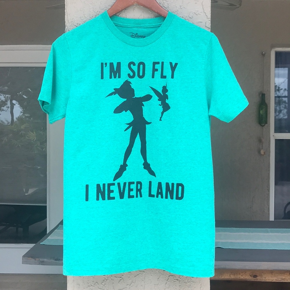 Disney 🟢 Peter Pan “I’m so fly I never land” graphic t-shirt, Heather green